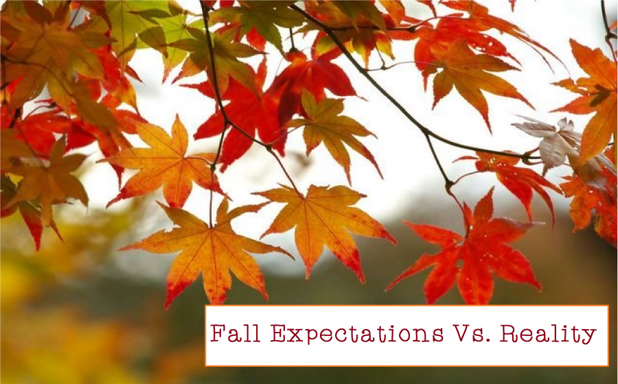 Fall Expectations Vs. Reality
