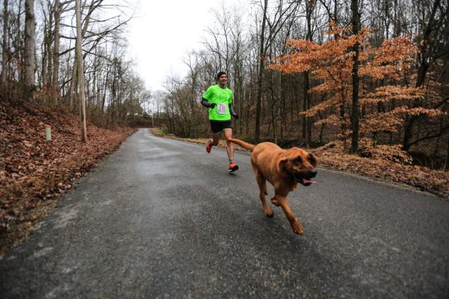 Dog+Accidently+Runs+Half+Marathon