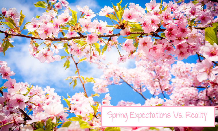 Spring+Expectations+Vs.+Reality