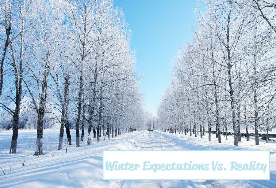 Winter Expectations Vs. Reality