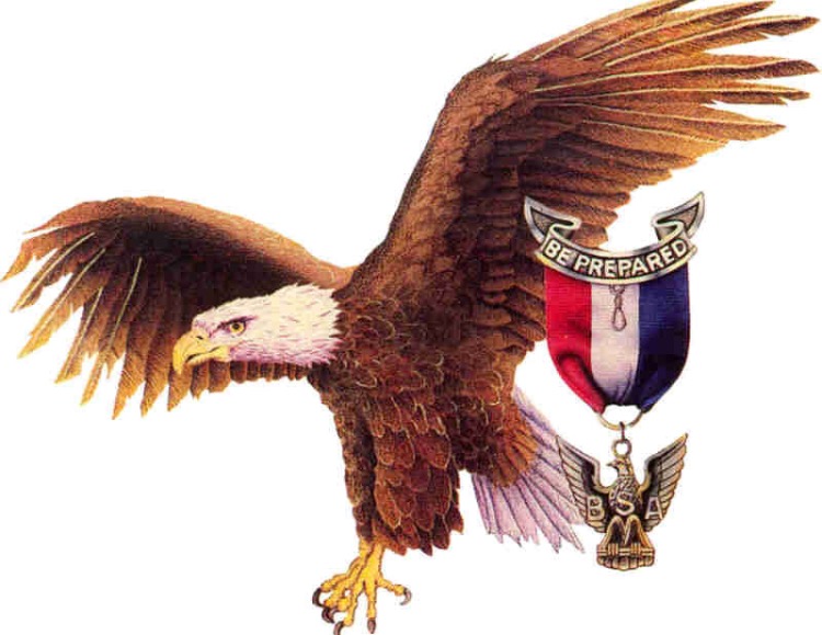 Eagles Soar and Salute
