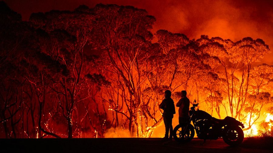 Australian Fires