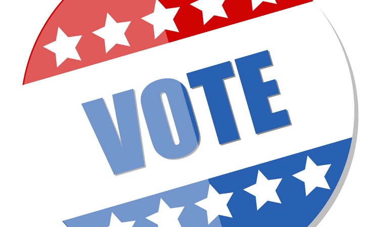 The Importance of Voting in the Midterm Elections