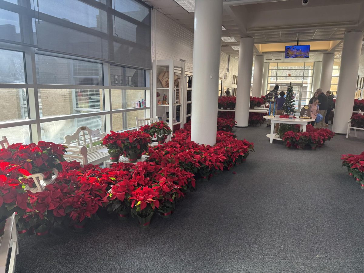 2025 Junior Class Poinsettia Sale